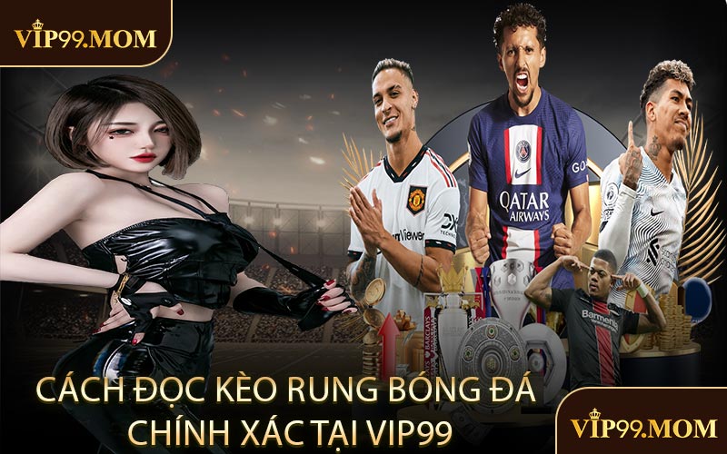 Cách đọc kèo rung bóng đá chính xác tại VIP99