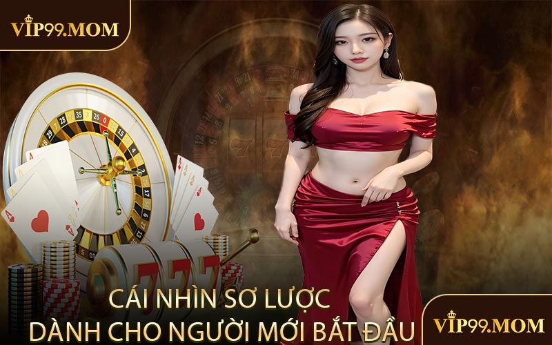 Cái nhìn sơ lược dành cho người mới bắt đầu