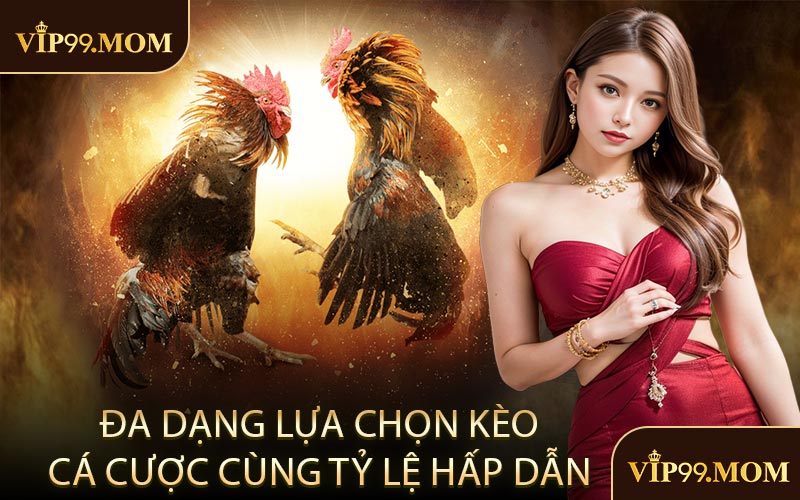 Đa dạng lựa chọn kèo cá cược cùng tỷ lệ hấp dẫn