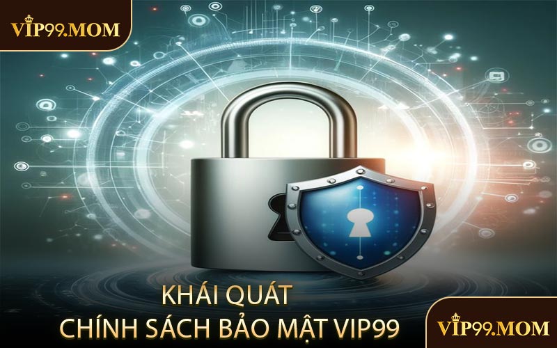 Khái Quát Chính Sách Bảo Mật VIP99