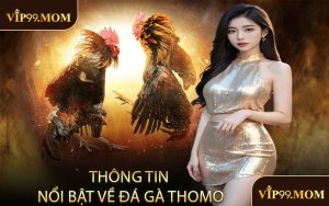 Thông tin nổi bật về đá gà Thomo