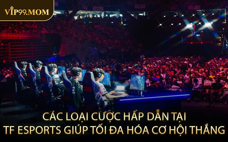Các loại cược hấp dẫn tại TF Esports giúp tối đa hóa cơ hội thắng