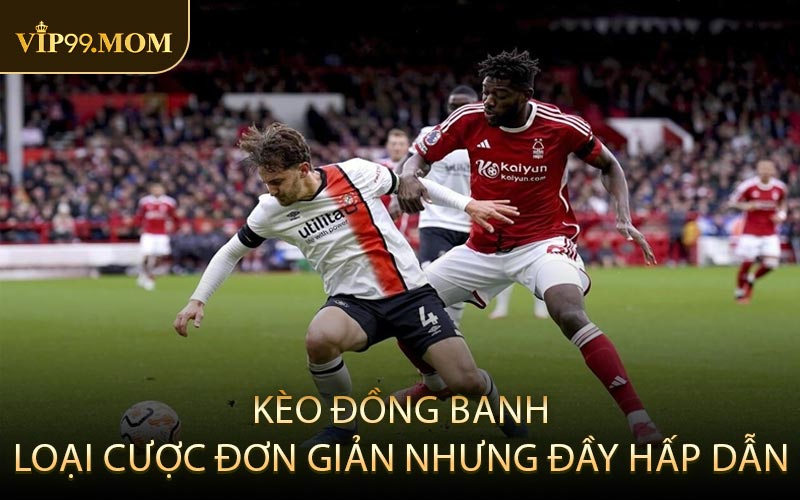 Kèo đồng banh: Loại cược đơn giản nhưng đầy hấp dẫn