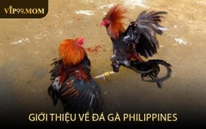 Giới thiệu về đá gà Philippines