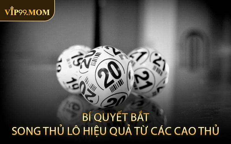 Bí quyết bắt Song Thủ Lô hiệu quả từ các cao thủ
